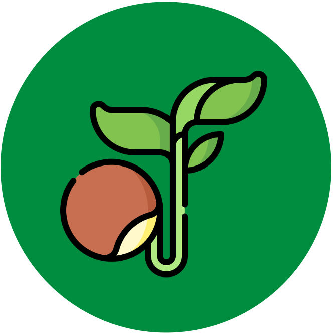 introduction%20to%20cells