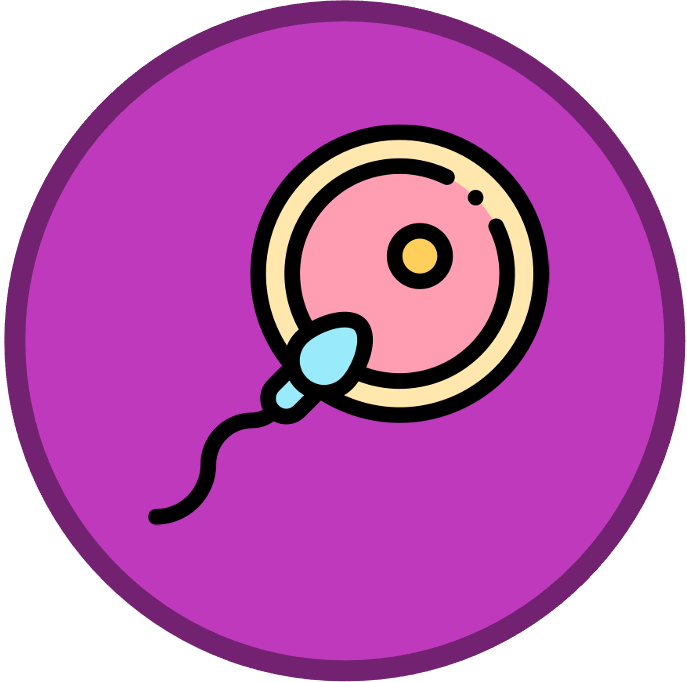 introduction%20to%20cells