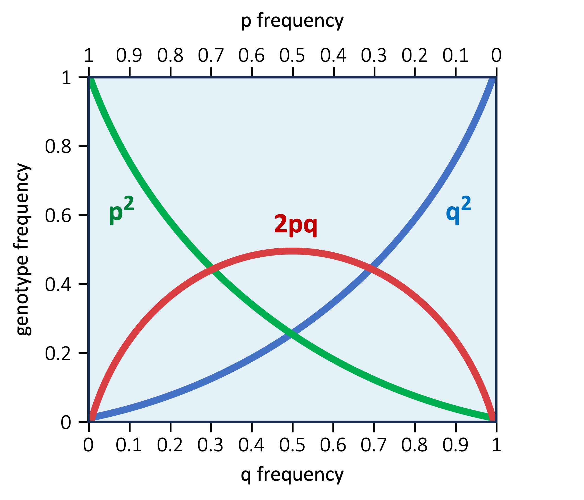 species%20diversity2