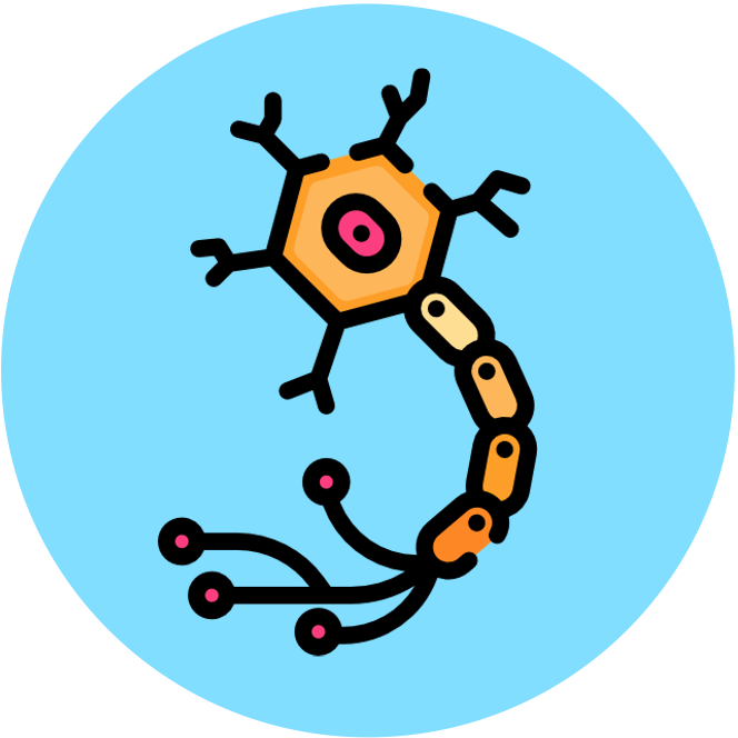 Membrane%20Transport