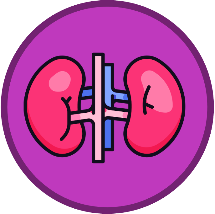 introduction%20to%20cells