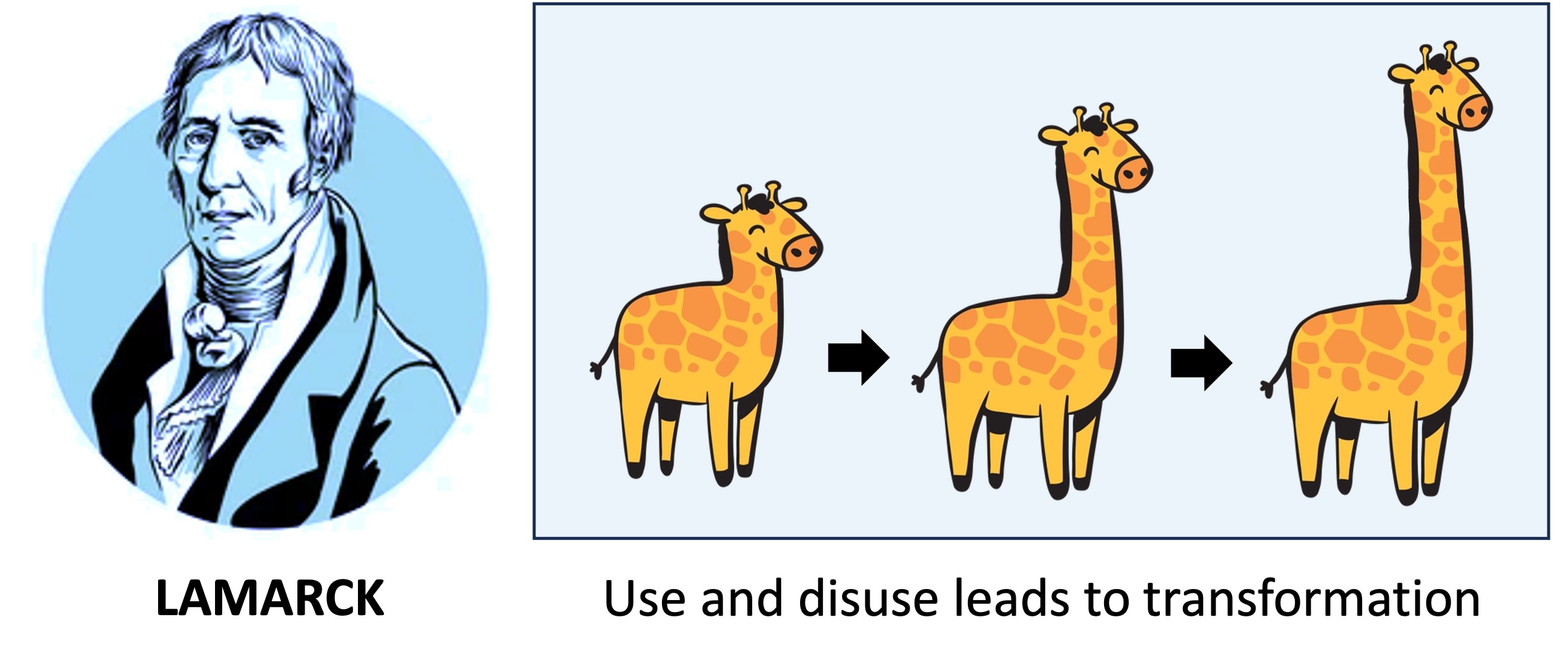 lamarck
