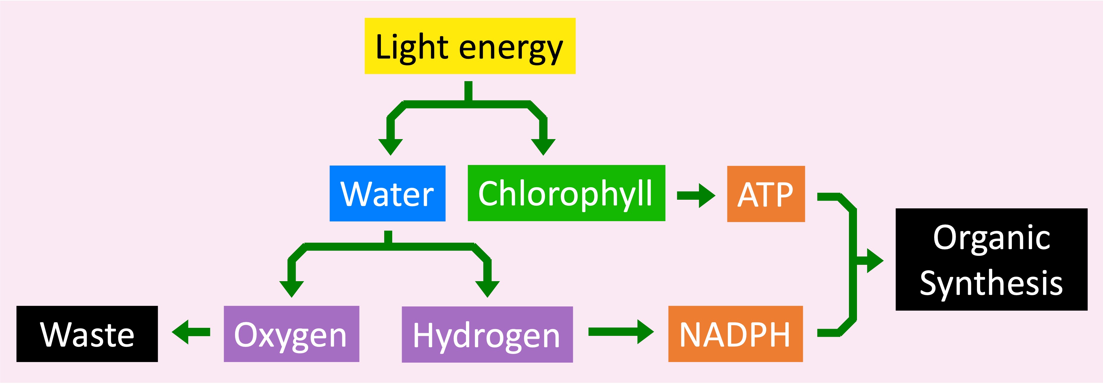 light%20dependent%20ipad