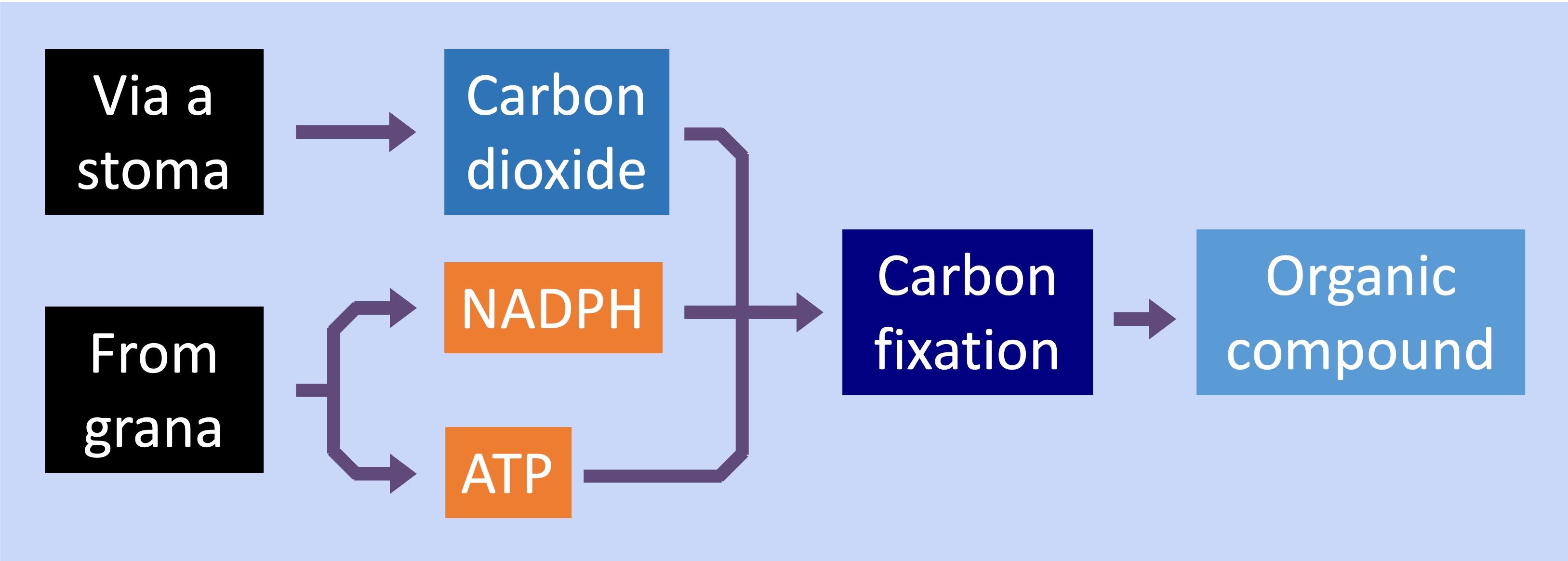 light%20dependent%20ipad