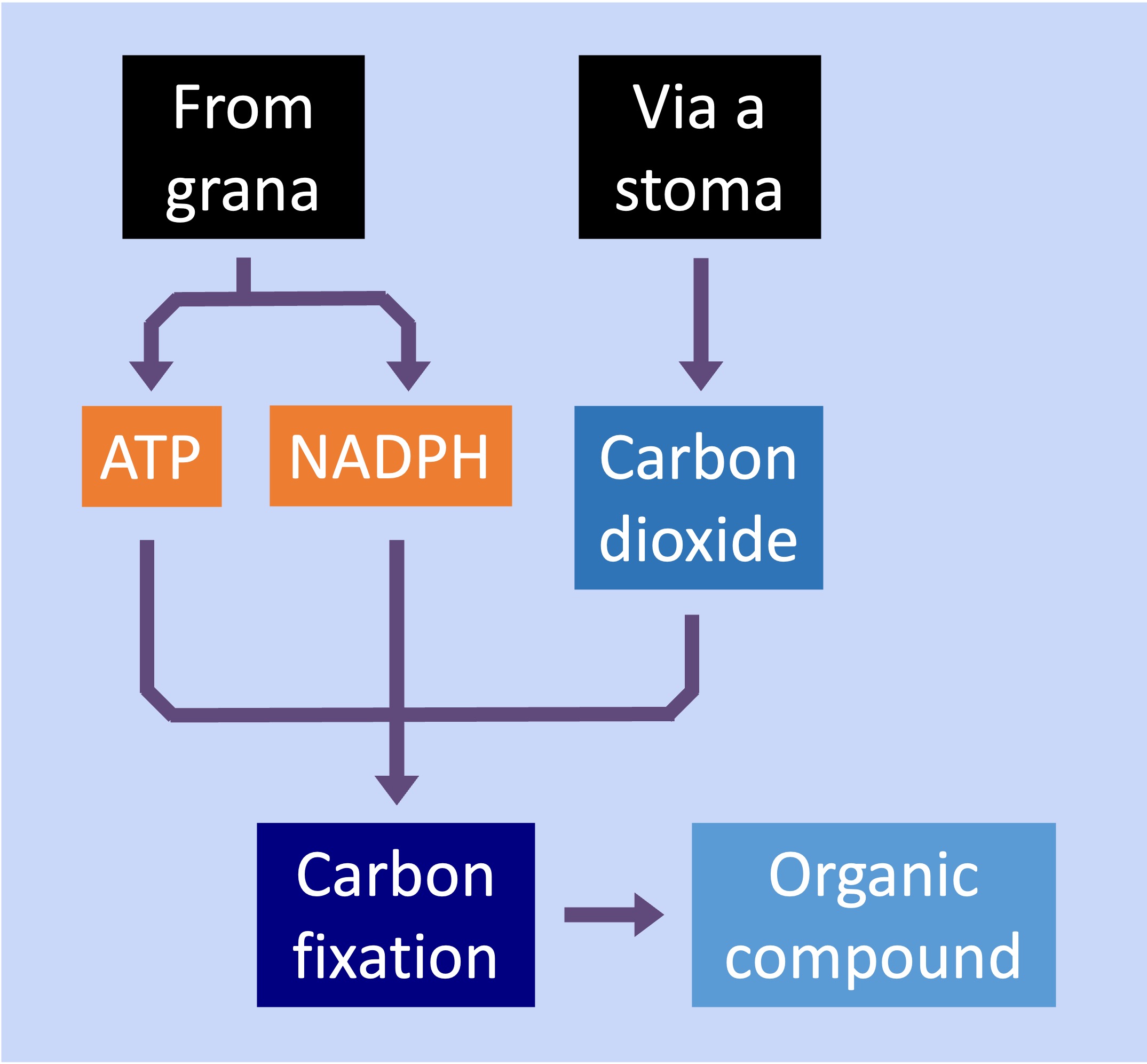 light%20dependent%20mobile