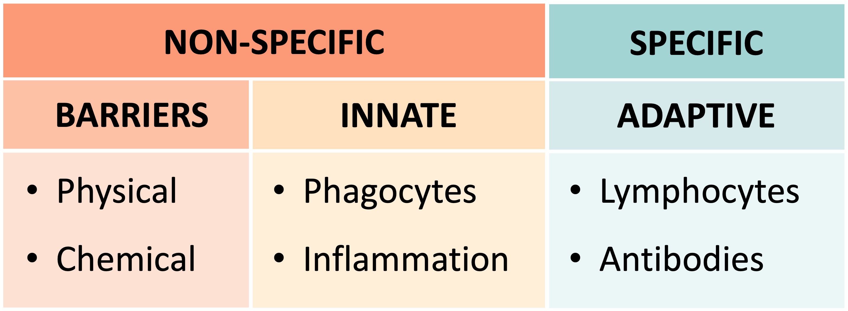 lines%20of%20defence%20mobile