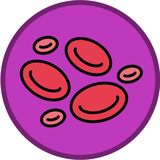 introduction%20to%20cells