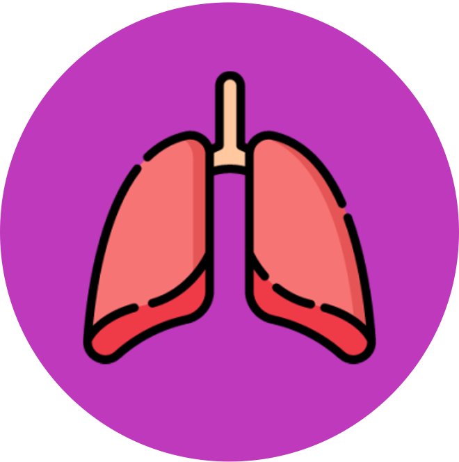 introduction%20to%20cells