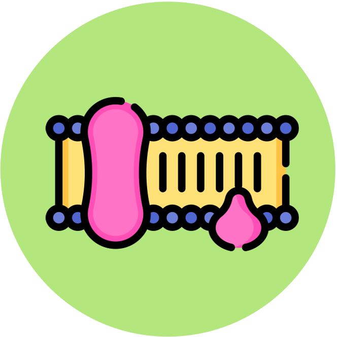 introduction%20to%20cells