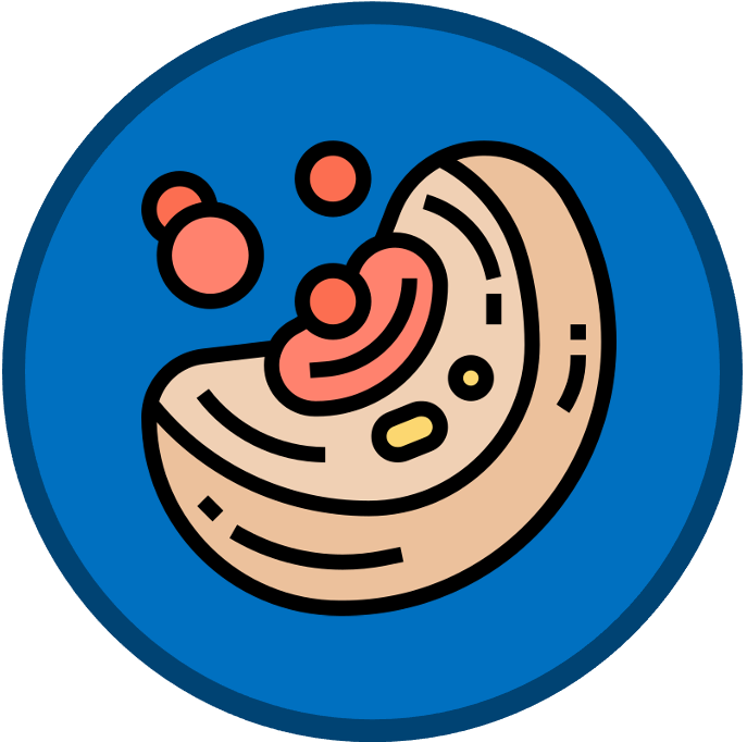 introduction%20to%20cells