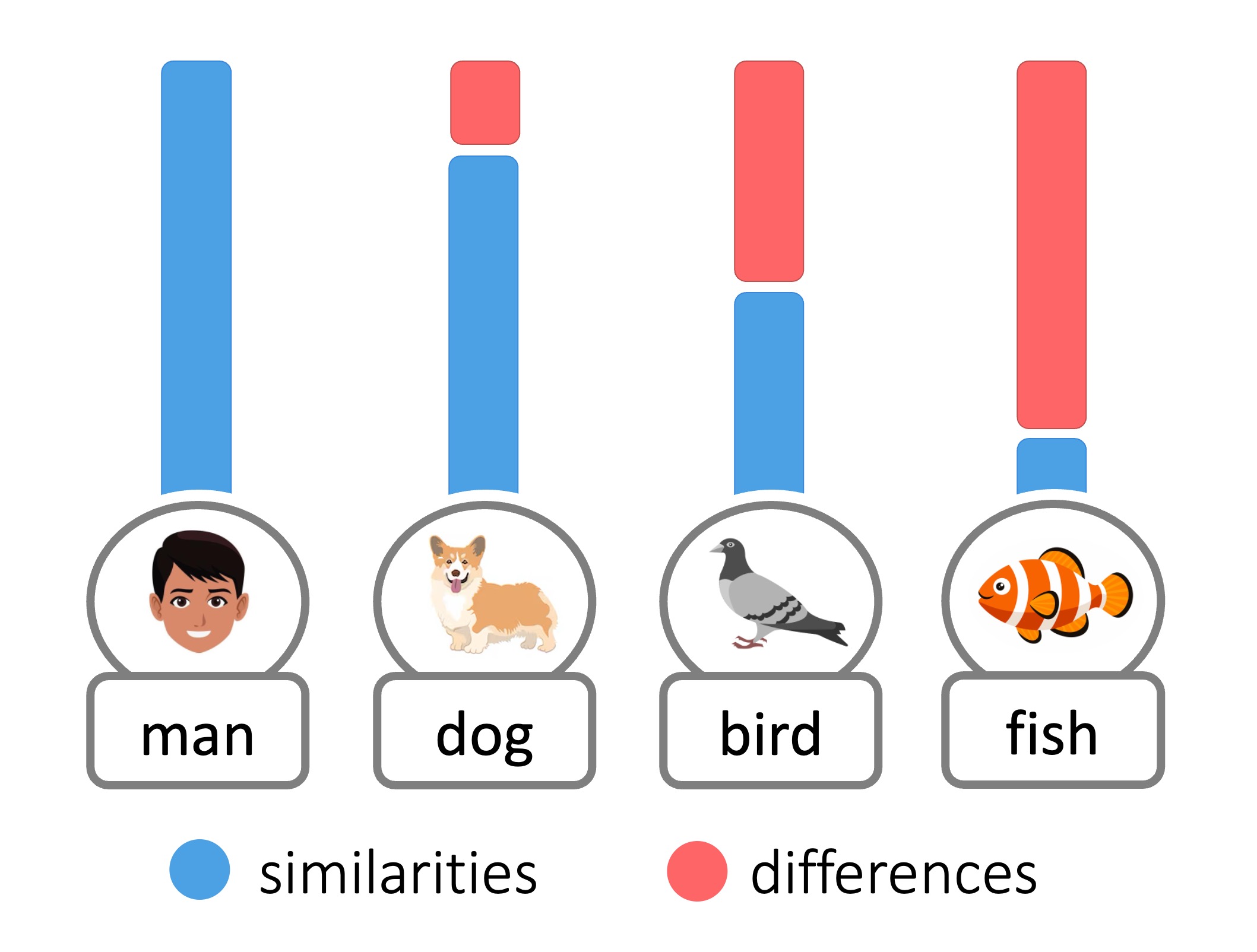 species%20diversity2