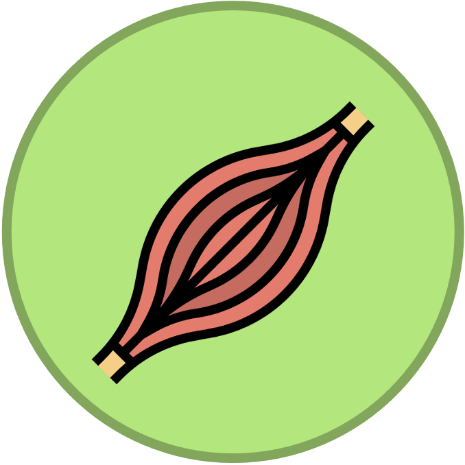 Origins%20of%20Cells
