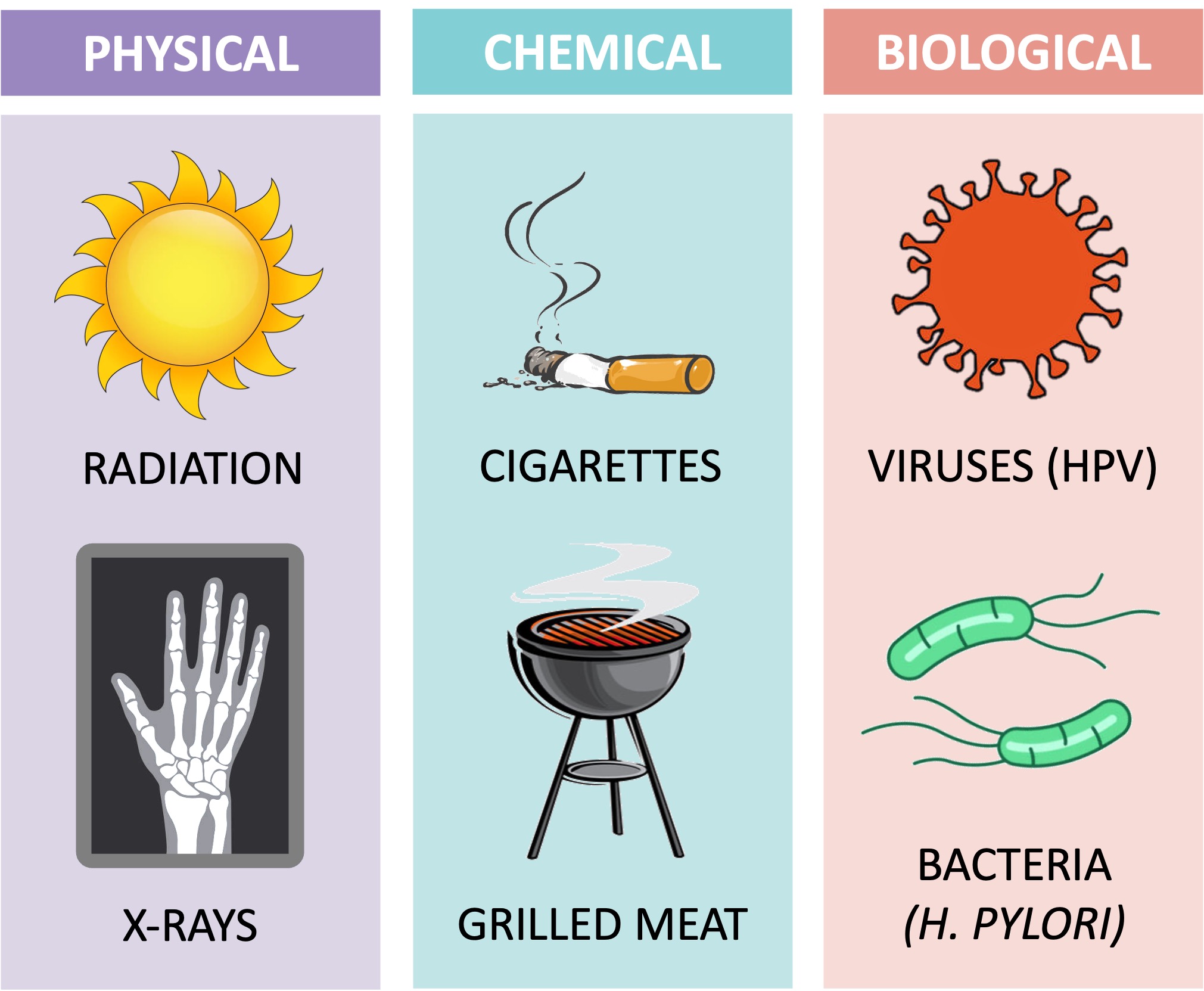 Gene Mutations