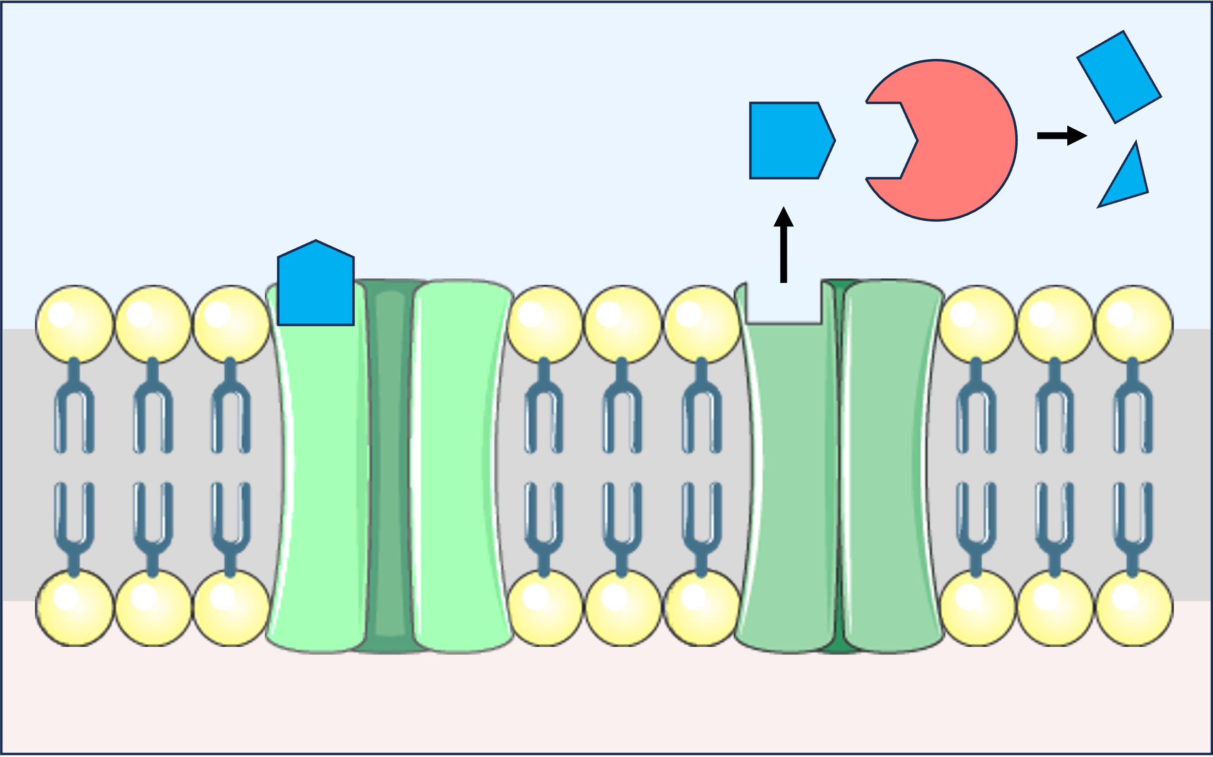 neonicotinoid1