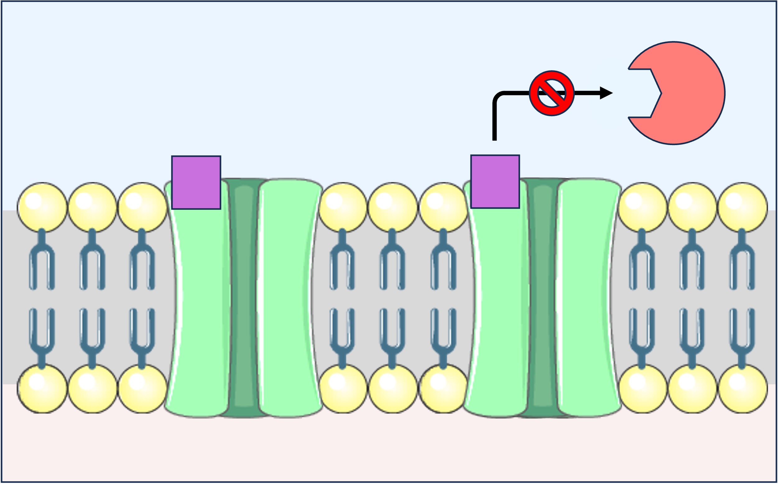 neonicotinoid2