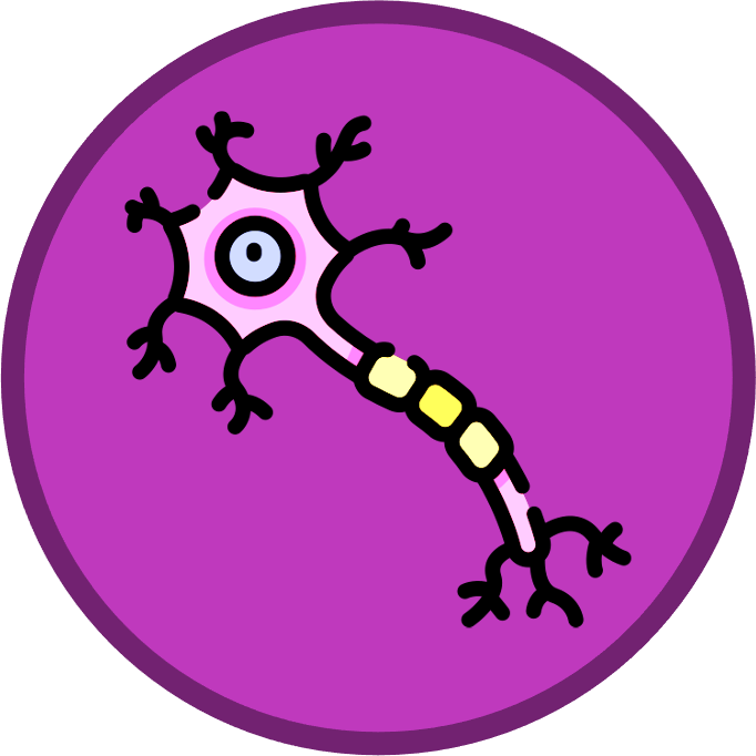 introduction%20to%20cells