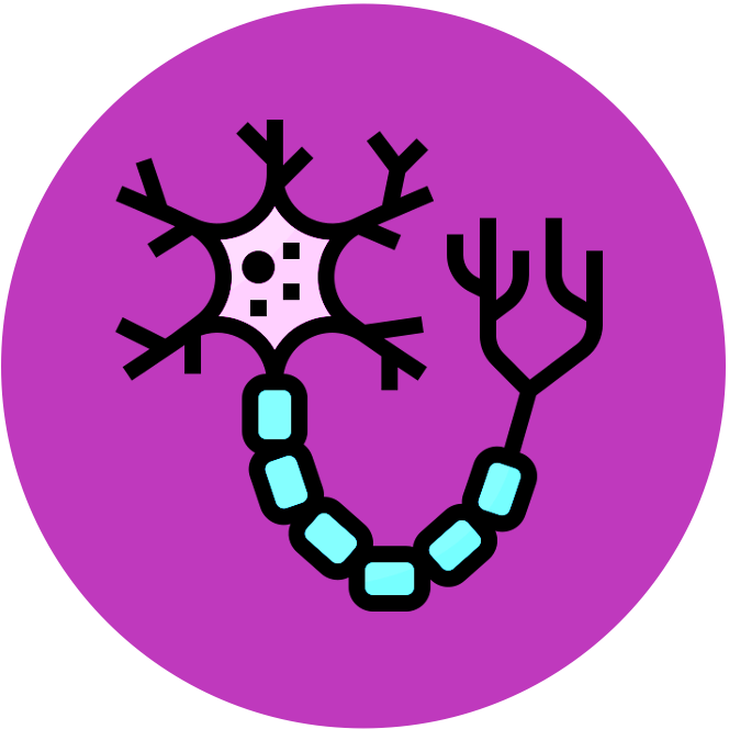 introduction%20to%20cells