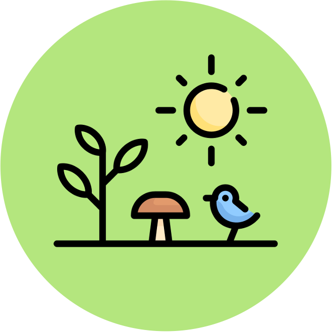 introduction%20to%20cells