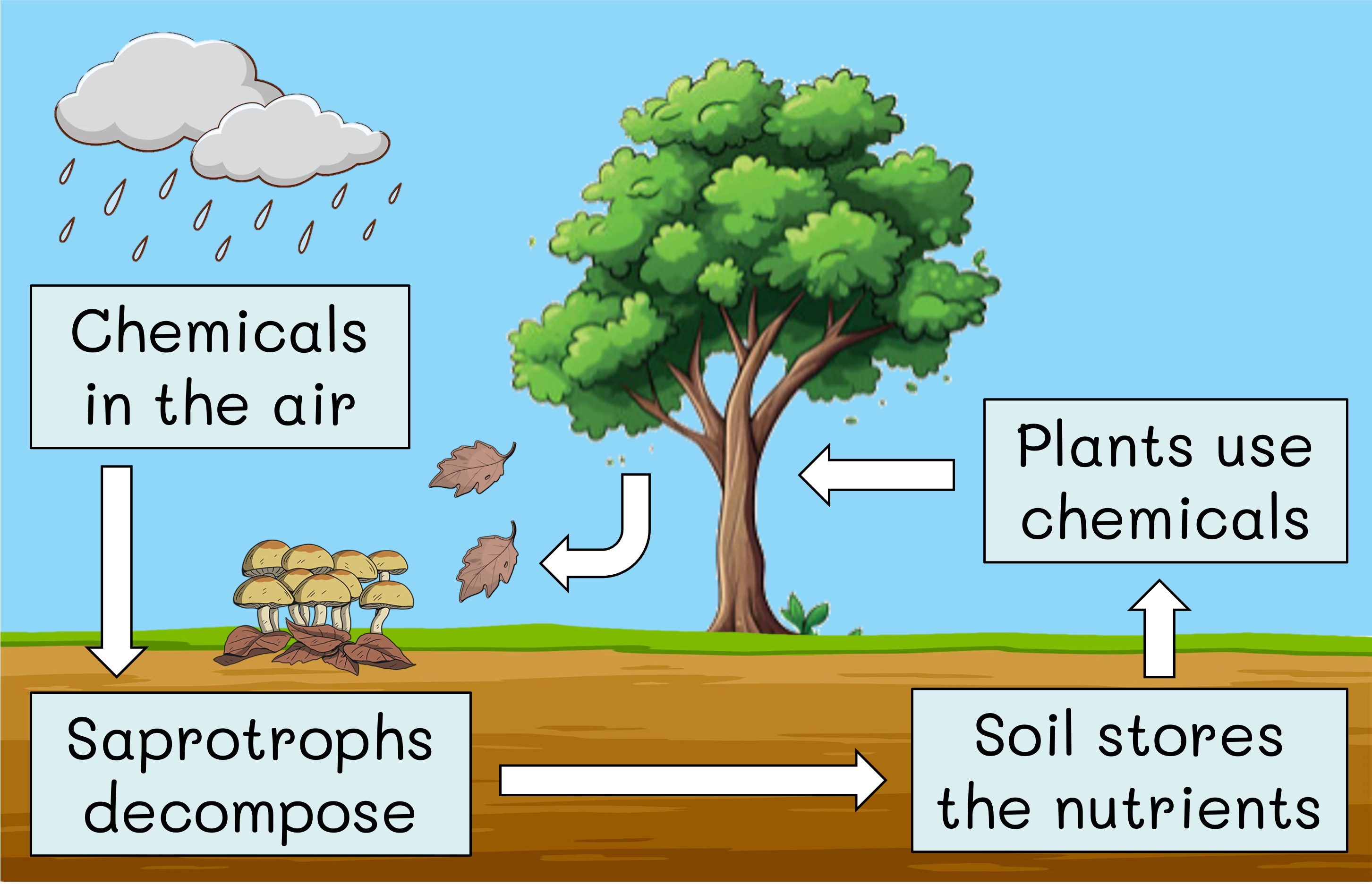 energy%20pyramid%20ipad