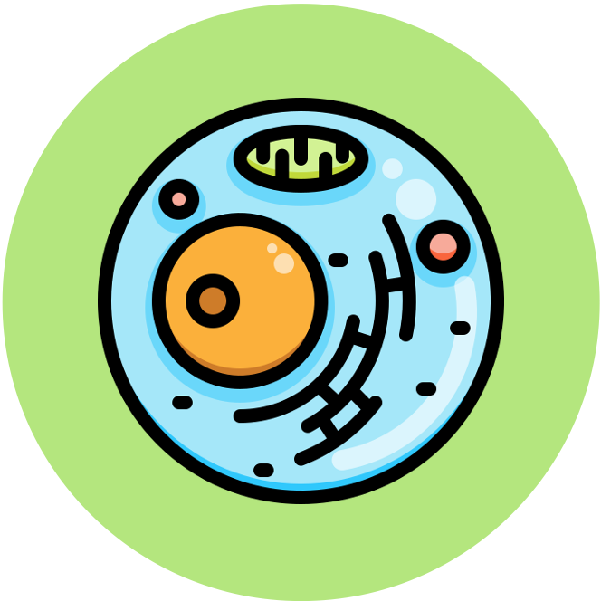 introduction%20to%20cells