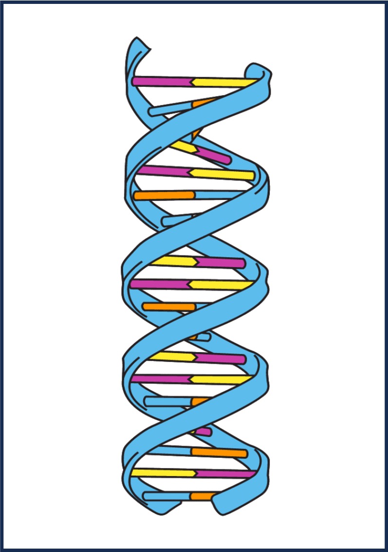 Organic Molecules