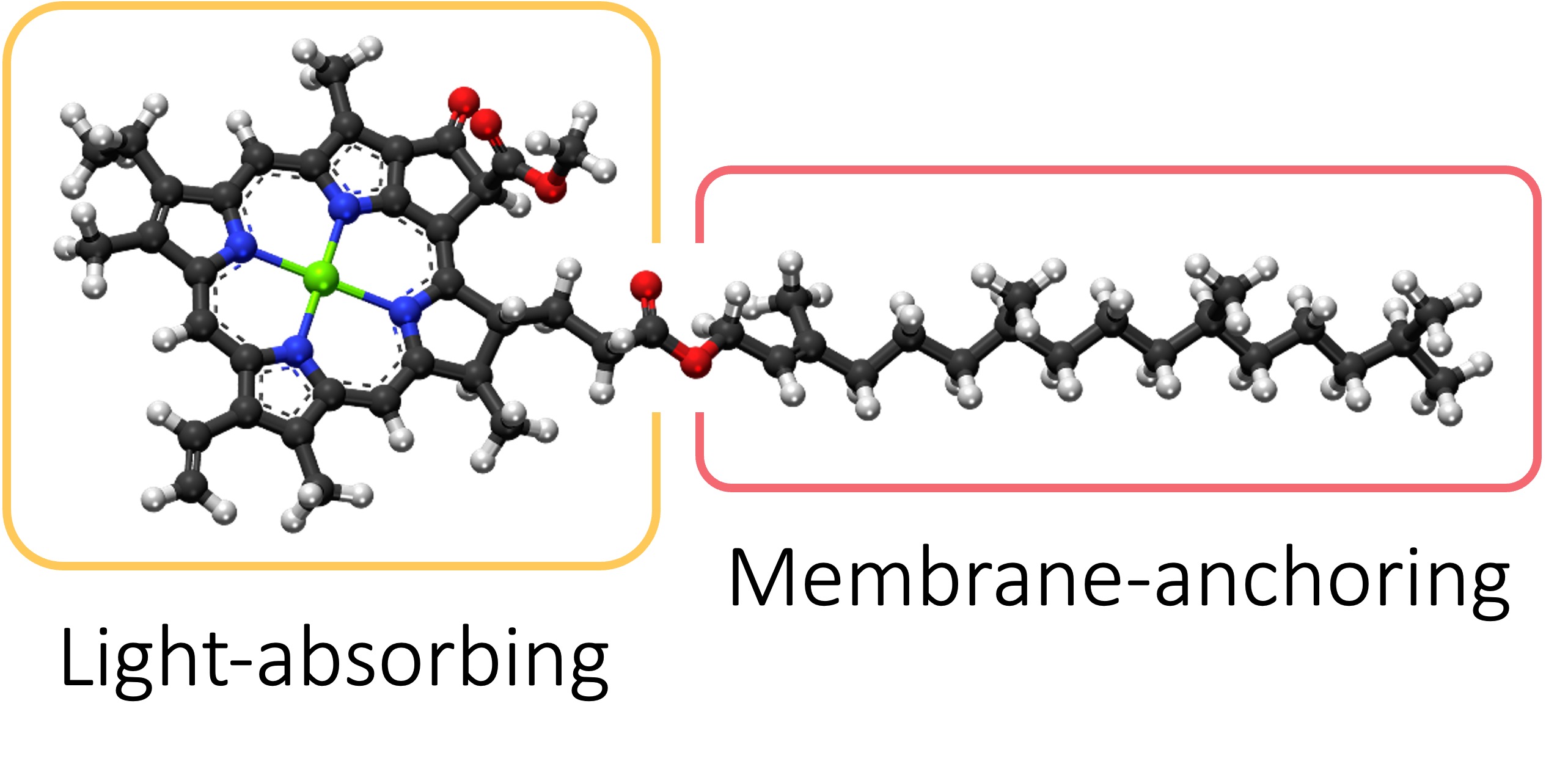 photo%20equation%20ipad