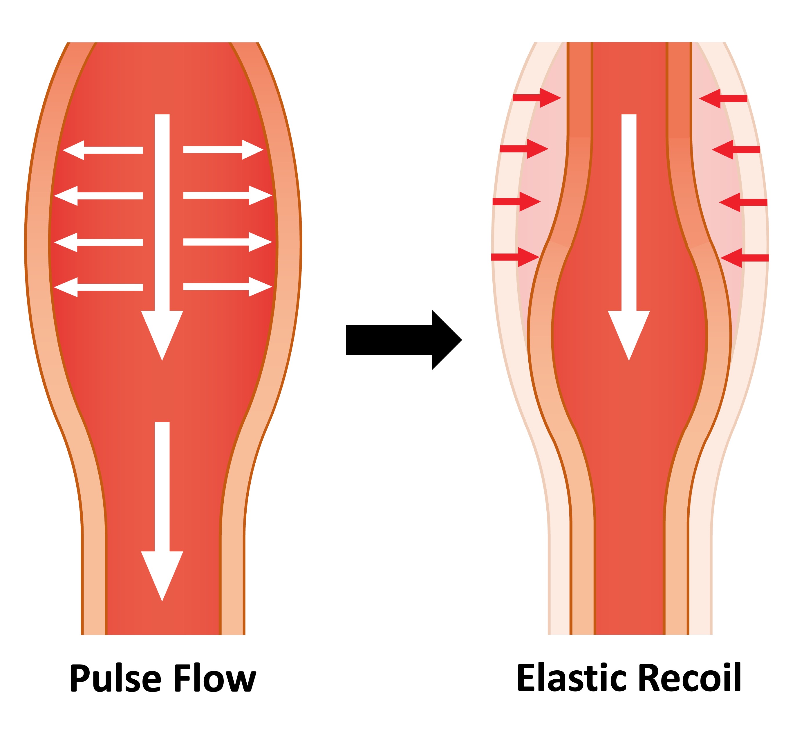 pulse%20flow%20mobile