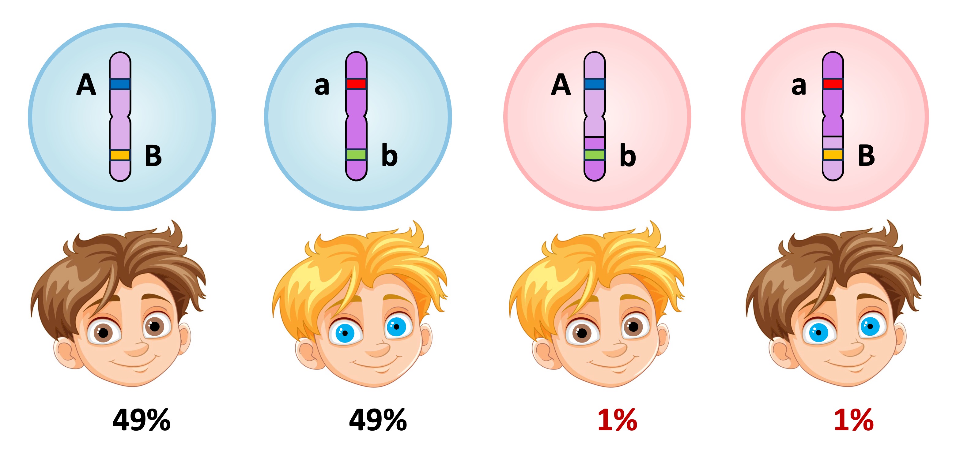 recombinant%20linked