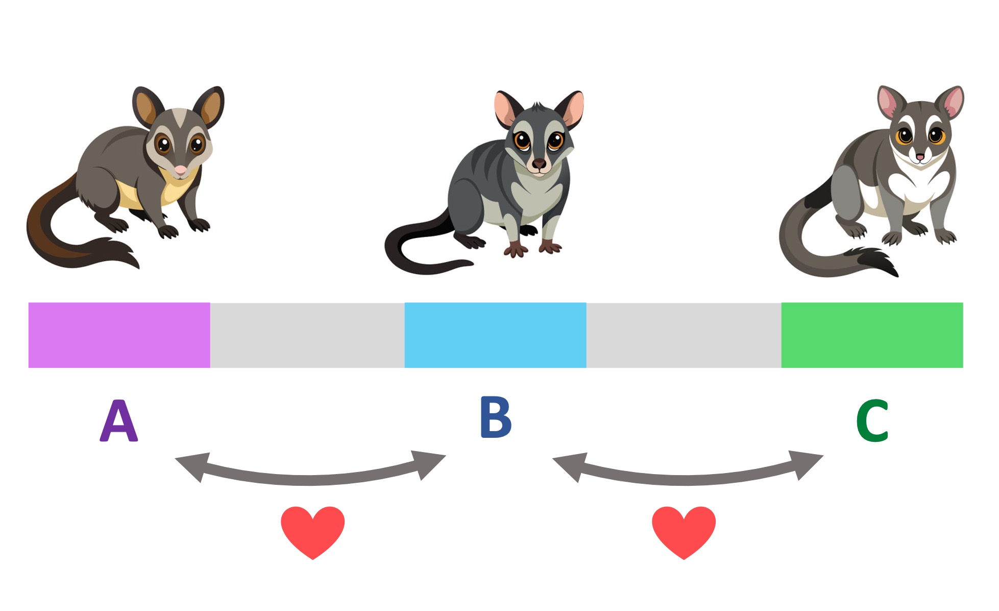 taxonomy