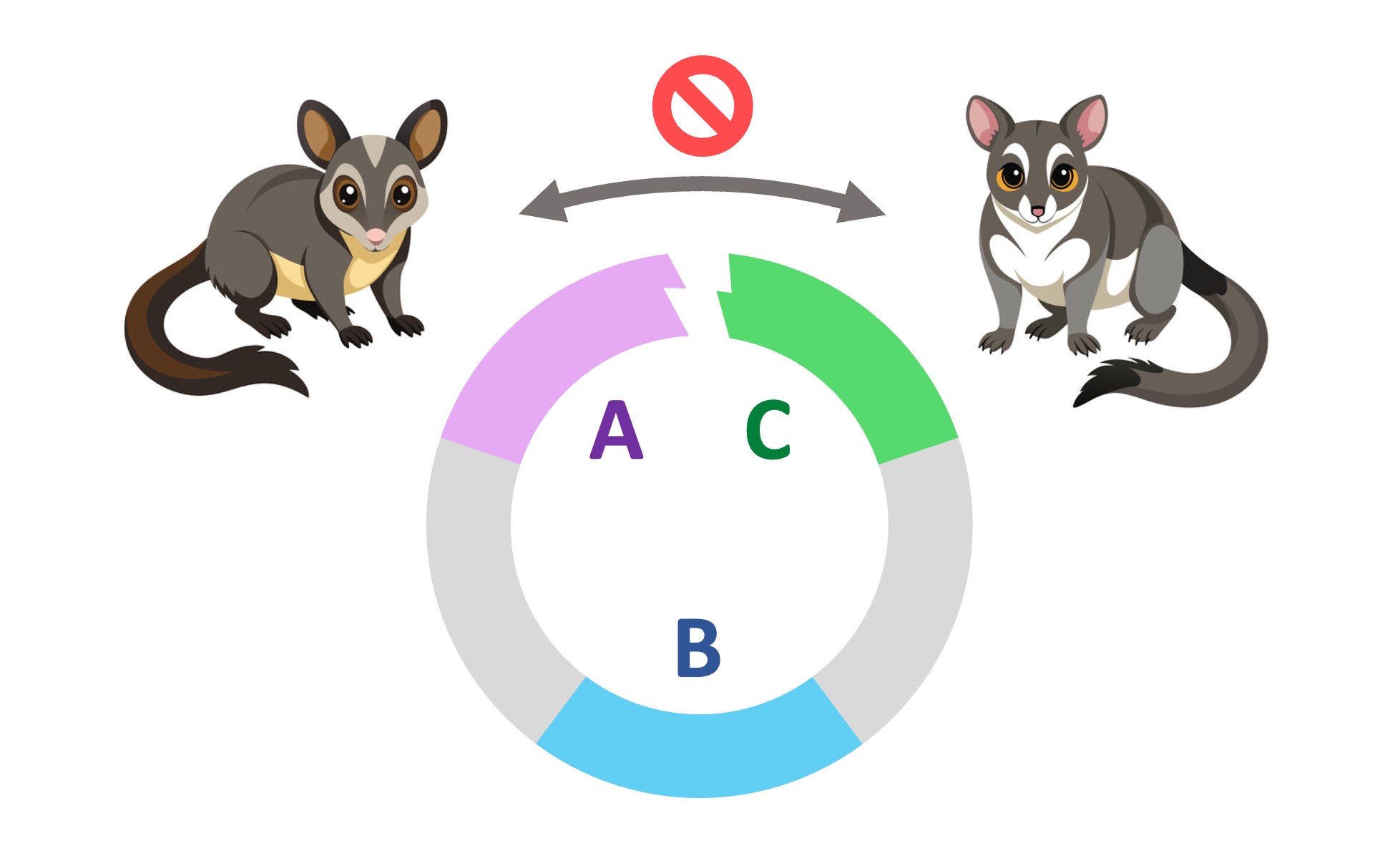 ring%20species2