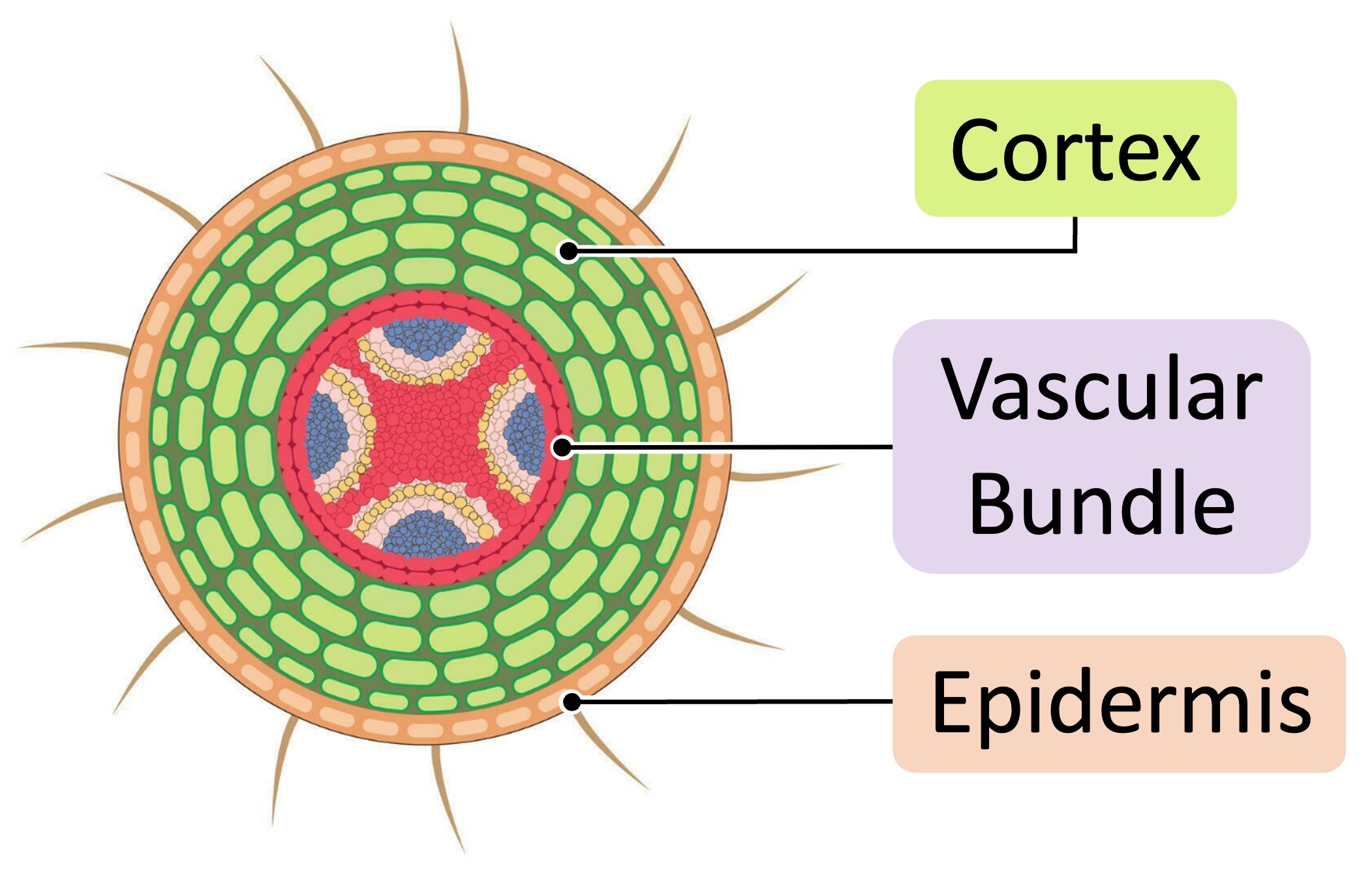 antibiotics%20mobile