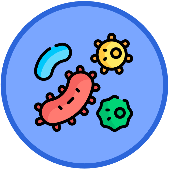 introduction%20to%20cells
