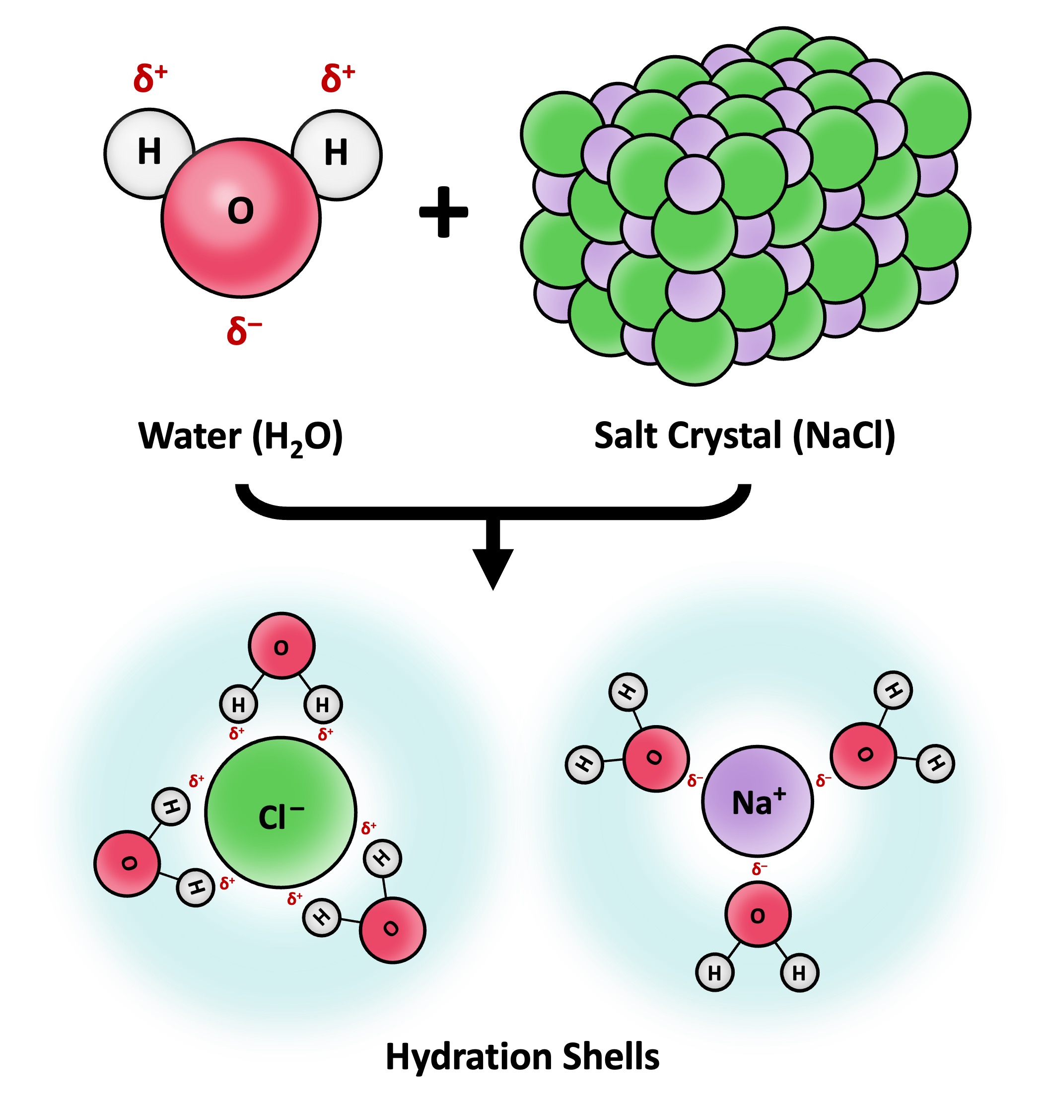 solvation%20mobile