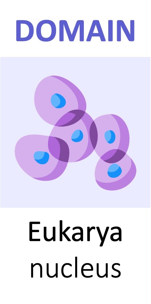 taxa2