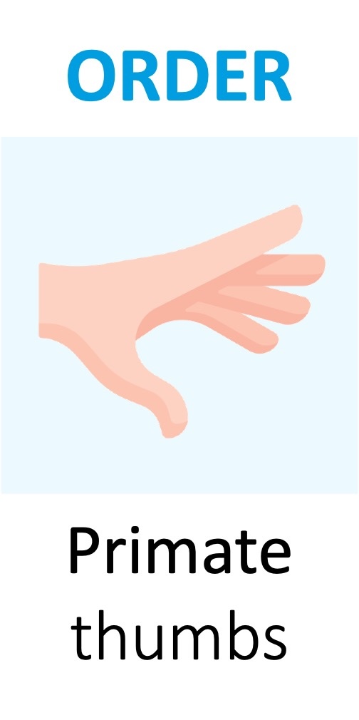 taxa5