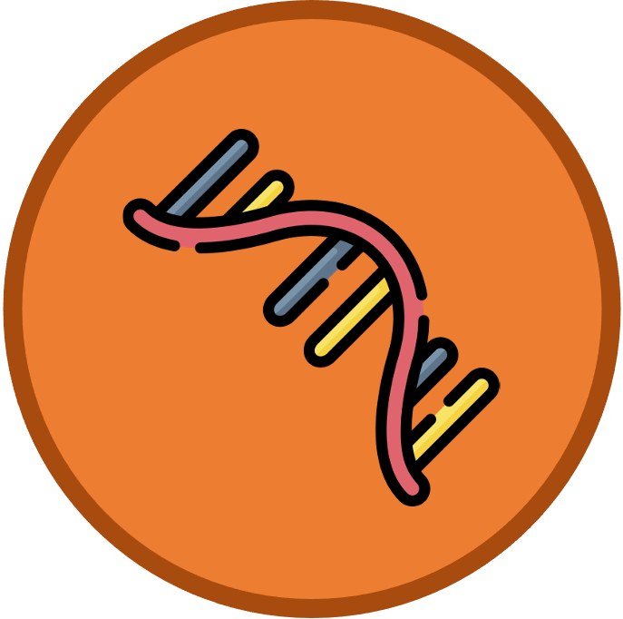 introduction%20to%20cells