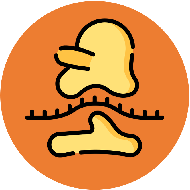 introduction%20to%20cells