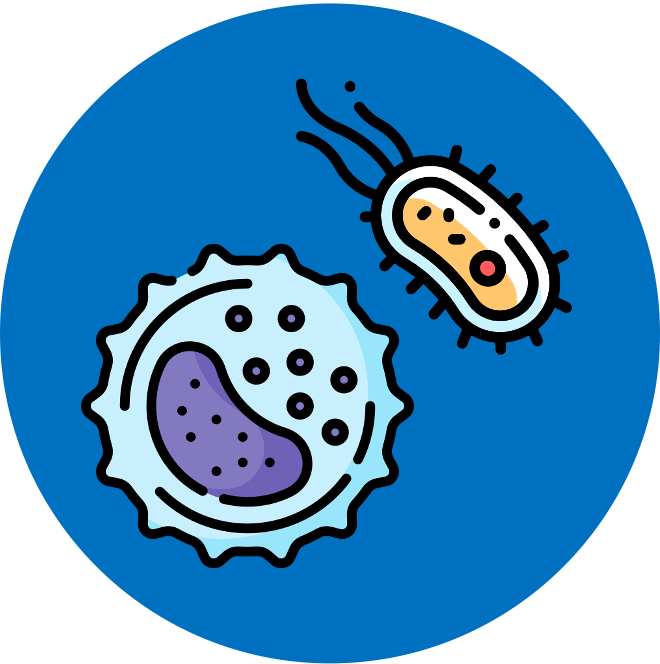 introduction%20to%20cells