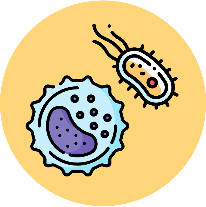 Membrane%20Structure