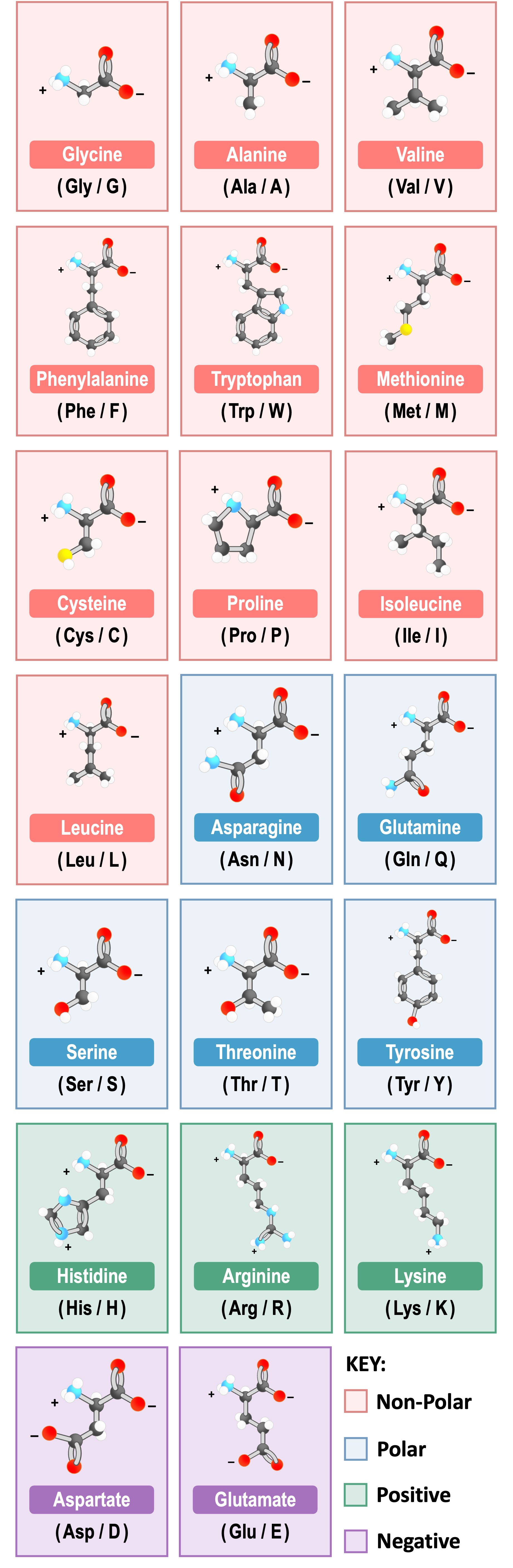 variable%20groups3