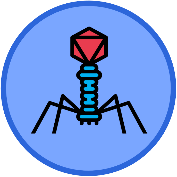 introduction%20to%20cells